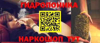 mdpv Лесосибирск