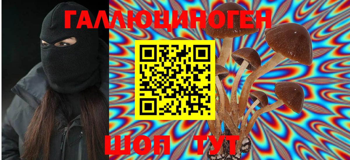Галлюциногенные грибы прущие грибы Ульяновск