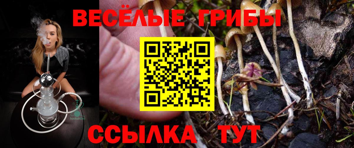 Псилоцибиновые грибы прущие грибы  Вход с VPN  Ульяновск 