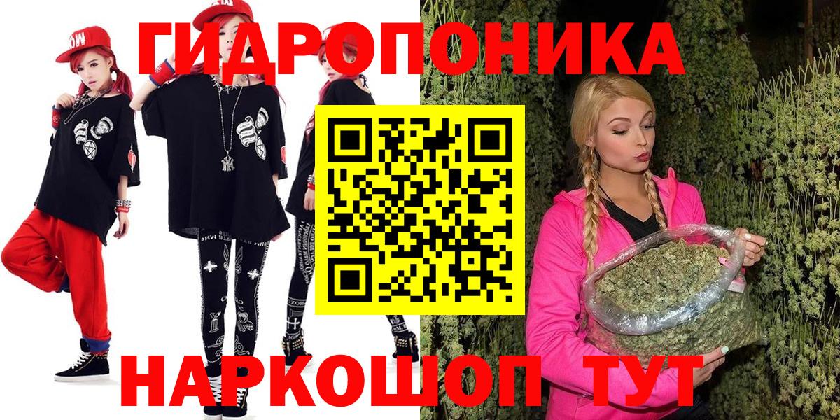 Бошки Шишки план Ульяновск